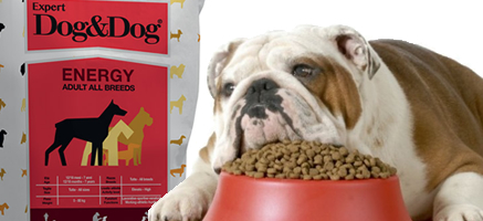 crocchette-cane-expert-energy