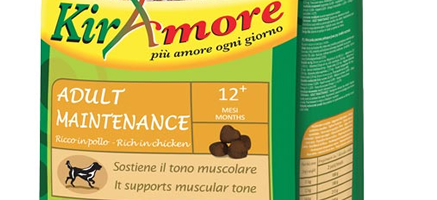 crocchette-cane-kiramore-adult-maintenance