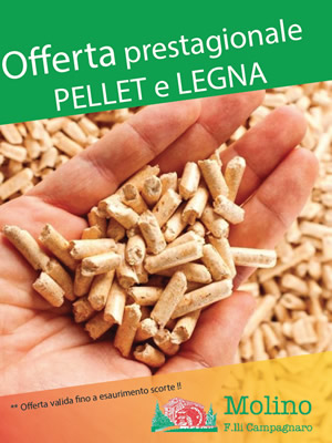 offerta-prestagionale-pellet-e-legna-2020