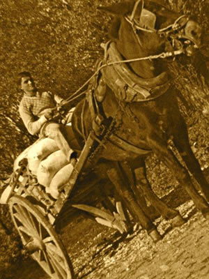produzione-farina-artigianale-mulino-brendola