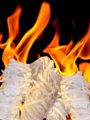 vendita-accendi-fuoco-naturale-paglia-brendola